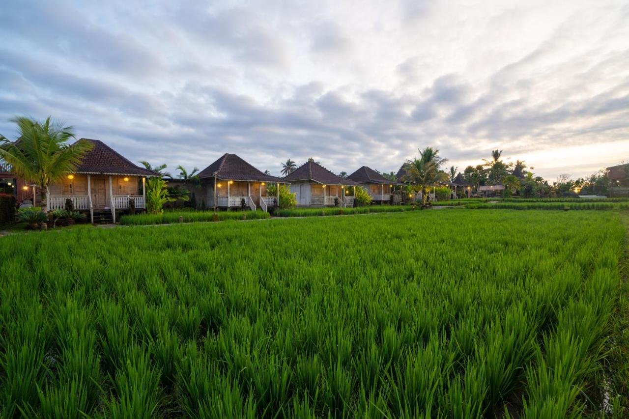 Uma Sebatu Villa Tegallalang  Exteriör bild