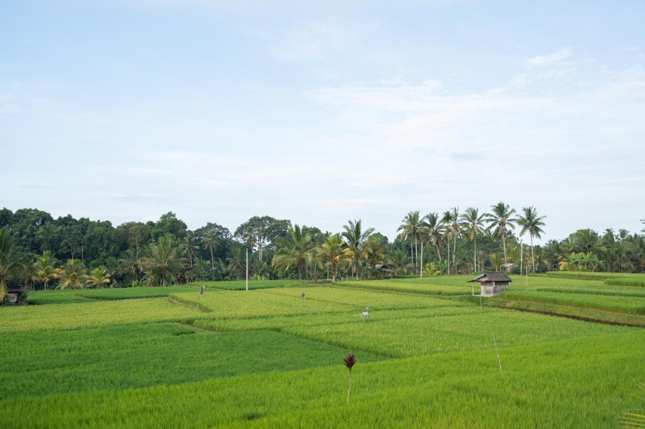 Uma Sebatu Villa Tegallalang  Exteriör bild